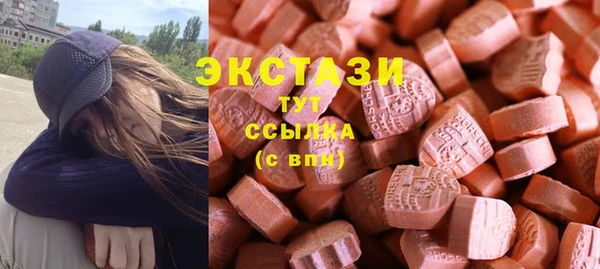 ECSTASY Бородино